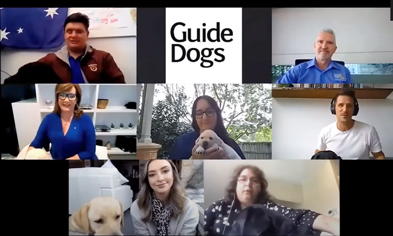 People and their dogs on a zoom call as part of Guide Dogs virtual event