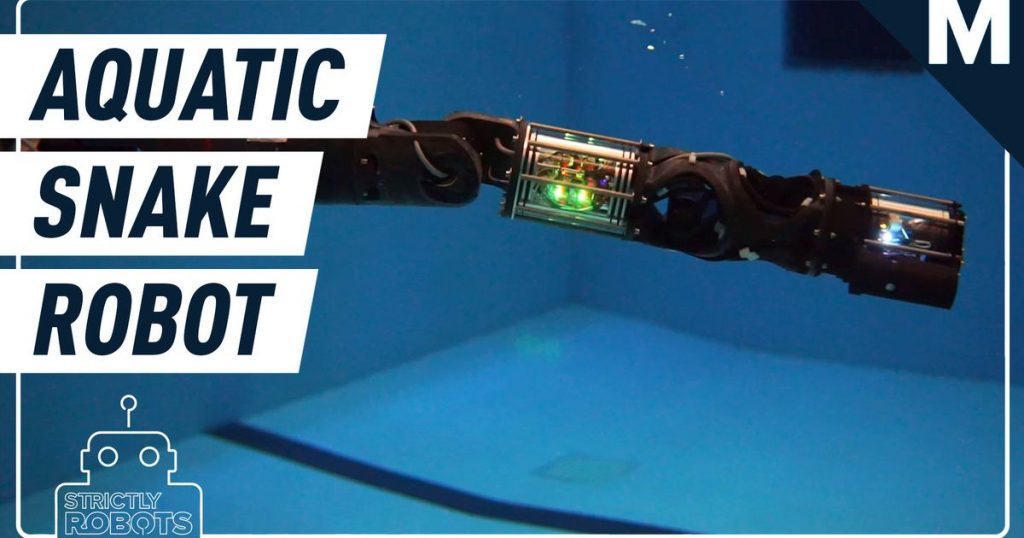 We want to swim with this slithering, underwater robot snake — Strictly Robots