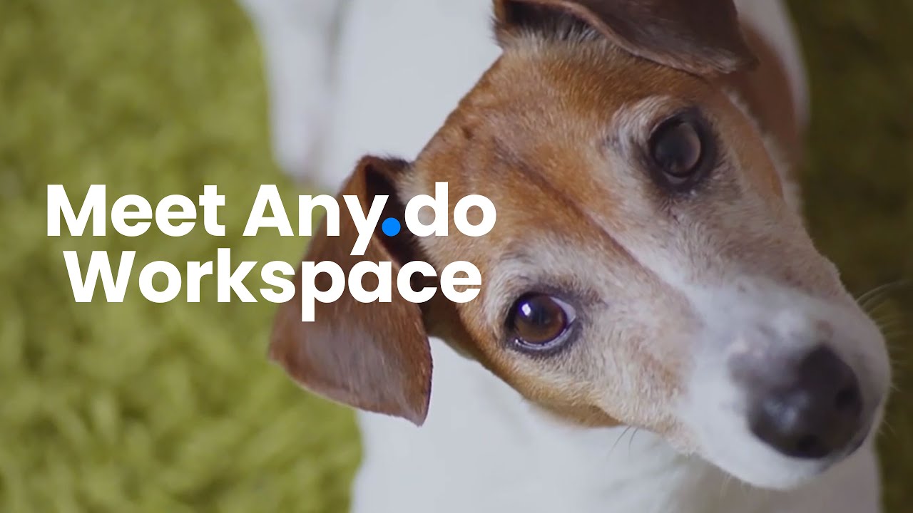 Meet: Any.do Workspace - YouTube