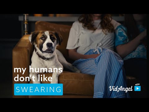 Dogs are dirty. What you watch doesn't have to be.