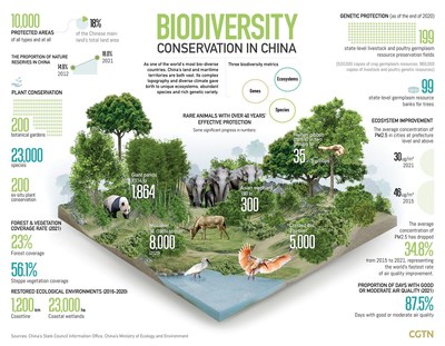 CGTN: China to continue promoting the adoption of 'post-2020 biodiversity framework'