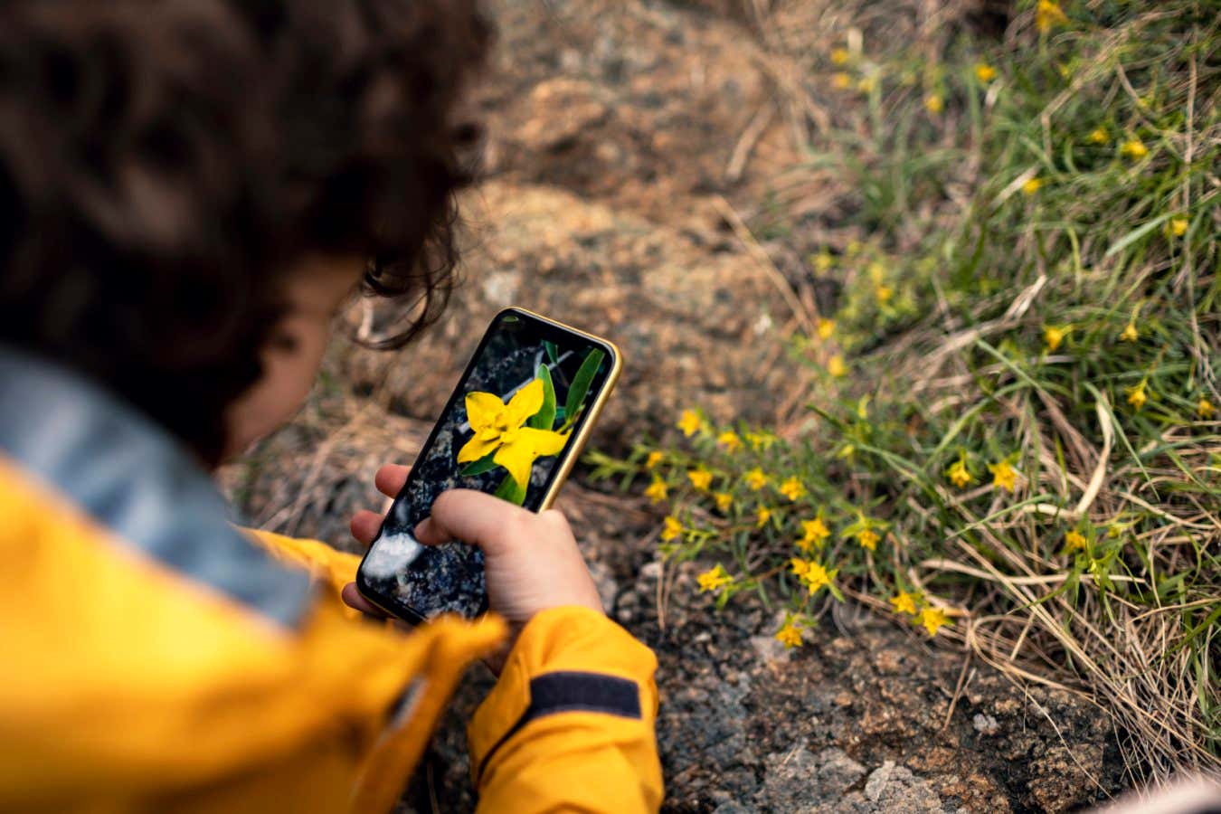 Boy using smartphone to photograph a plant