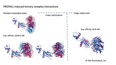Thermodynamics of PROTACs induced ternary complex interactions