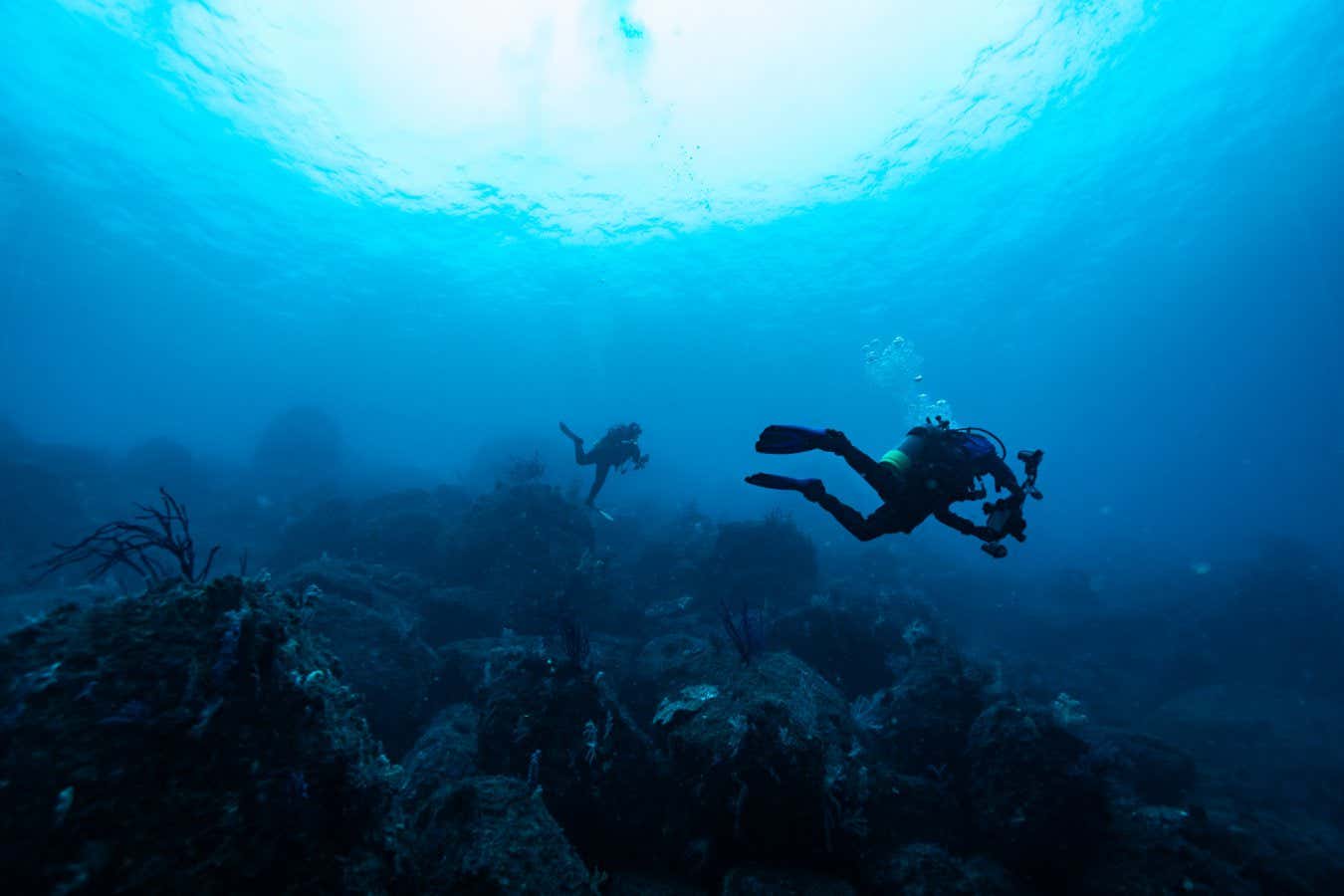Divers exploring rocky reefs