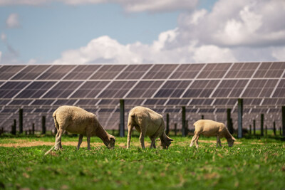Trina Solar Powers New Zealand's Largest Solar Farm with Integrated Module-Tracker Solution